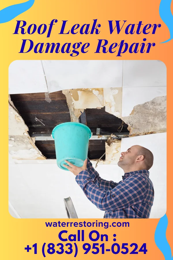 Roof Leak Water Damage Repair in Wallsburg, UT